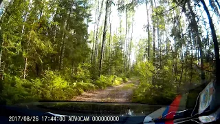 Дастер на плохой лесной дороге.