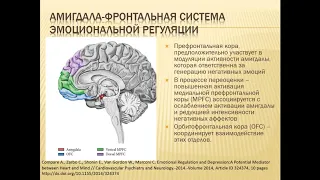 Психосоматические аспекты сердечно-сосудистых заболеваний