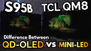 TCL QM8 vs Samsung S95B