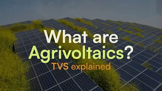 Agrivoltaic Systems: The Future of Farming | TVS