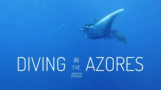 Diving in the Azores + Princess Alice Bank 🐋