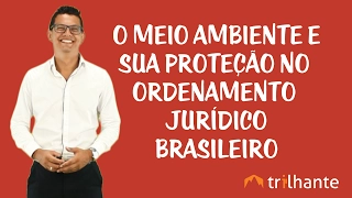 O Meio Ambiente e sua Proteção no Ordenamento Jurídico Brasileiro - Crimes Ambientais