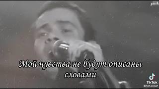 я вижу тебя везде.