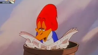 Woody Woodpecker / Дятел Вуди 25-28 серии HD