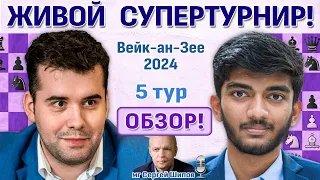 Обзор! Вейк-ан-Зее 2024. 5 тур 🎤 Сергей Шипов ♛ Шахматы