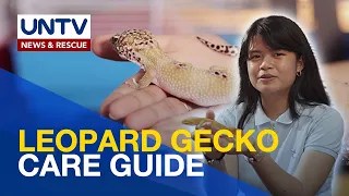 Paano ba alagaan ang isang Leopard Gecko? | Pet Talk