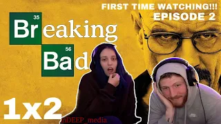 (FIRST TIME WATCHING) BREAKING BAD EP. 2 (Cat's in the bag...) 1x2