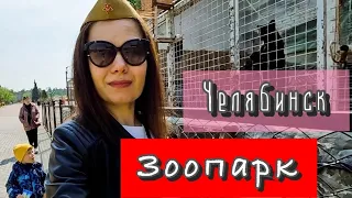 Почему в Челябинске зоопарк лучше чем в Москве? В шоке от животных