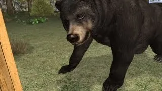 Bear attacks Canadian man in outhouse!!