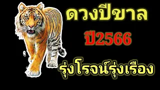 🐅ดวงคนเกิดปีขาล ✨มุ่งมั่น จับเงินก้อนโตปีนี้#ดูดวง #ปีขาล #ดวง12ราศี