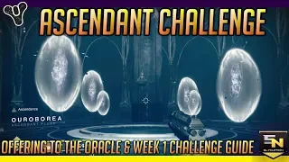 D2 Forsaken | Dreaming City Ascendant Challenge w/ Secret Chest & Oracle Offering Guide (Week1)