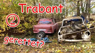 Zwei alte verlassene und vergessene Trabant geborgen