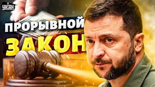 😱 Зеленского разозлили! Готовится прорывной закон против коррупционеров