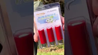 Shooting PIRANHA shotgun shells