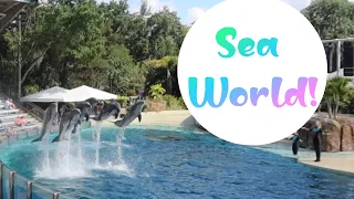 Making core memories at SeaWorld!