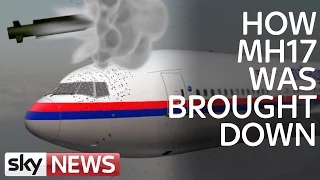 MH17 Air Crash Investigation: What Caused Disaster?