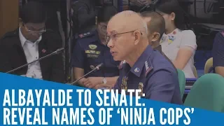 Albayalde to Senate: Reveal names of ‘ninja cops’