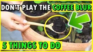 Don't throw the Coffee Bean OFF! 5 Reasons not to throw coffee grounds!