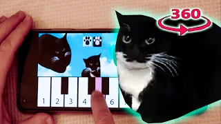 Maxwell The Cat 360° VR / MAXWELL piano APP