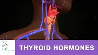 THYROID HORMONES