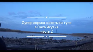 Лучшая зорька 2021 года Часть 2 / охота на гуся / красивые налеты / Саха Якутия