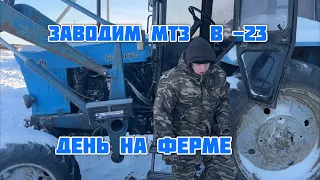 Деревенские будни на ферме