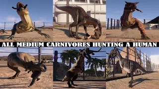 ALL (MEDIUM) CARNIVORES EATING HUMANS | JURASSIC WORLD EVOLUTION 2