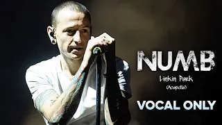 Numb (Acapella) - Linkin Park | Vocal Only