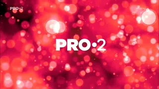 PRO 2 - Idents/grafică (2017-2022)