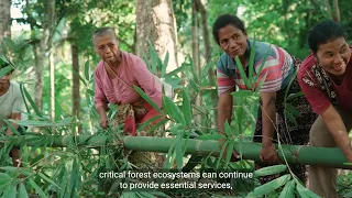How social forestry is protecting Indonesia's forests, a #ClimateAction Story