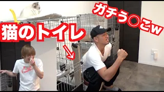 友達ん家の猫のトイレでガチう○こしてみたw【ドッキリ】