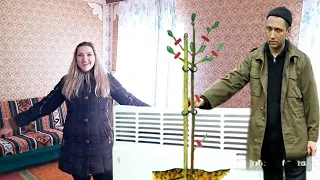 Ночуємо на дачі без опалення🏠 Корчуємо старі дерева і саджаємо нові🌳