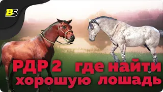 Гайд — где найти хорошую лошадь в ➤ red dead redemption 2