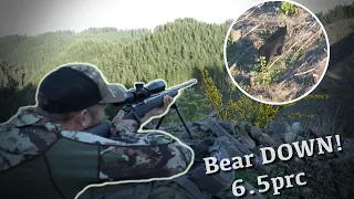 Oregon Spring Bear Hunting (6.5 prc) - Bear Down!