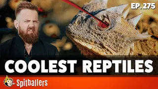 The Finest French Worms & The Coolest Reptiles - Episode 275 - Spitballers Comedy Show
