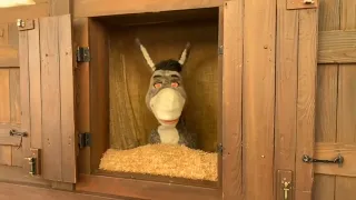 Funny Moments with Donkey and Shrek at Universal Studios Florida