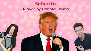 Señorita (Donald Trump Cover song) Shawn Mendes, Camila Cabello