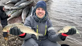 Pohjoistuulen SIIKAPOTTI - Siian pohjaonginta - Siikatapsin teko ja välineiden viritys - Siikaonki