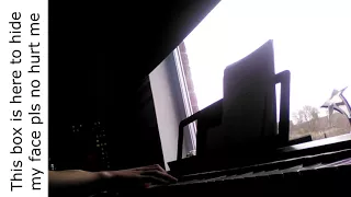 Sonic Adventure 2 - Goodbye Chao (Piano cover)