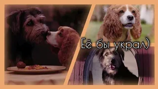 Леди и Бродяга (фильм): Клип "Её бы украл" заказ