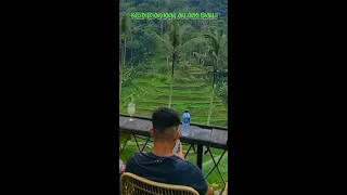 ALAM BALI | SeniBudayaBali