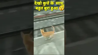 Train accident with Dog #trainaccidentlive#viral #shorts #funny#comedyvideo#Rinku_Gupta_Shorts