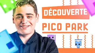 CE JEU NOUS REND TOUS FOUS, PICO PARK AVEC LA KAMETO TV