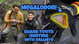 Shark Tooth Hunting in Florida |  DALLMYD Found a Megalodon Shark Tooth & Other Fossils!