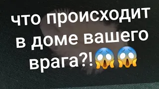 💣В доме вашего врага♠️ Кто дома, а кто и в больничке🖤