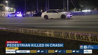 Pedestrian struck, killed by car on Hillsborough Avenue in Tampa, police say