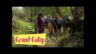 Grand Galop 215 - Une foi aveugle | HD | Épisode Complet