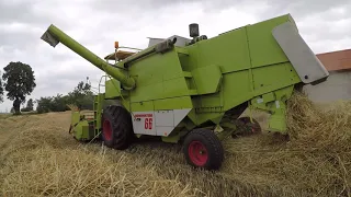 40-latek w akcji!!☆Claas dominator 66☆Żniwa 2019☆4,5t/h z 5 klasy gleby!!!☆AGRO DOBRENICE