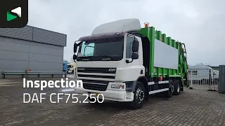 70234899 DAF CF