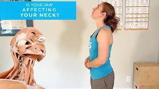 Is Your Jaw Affecting Your Neck?